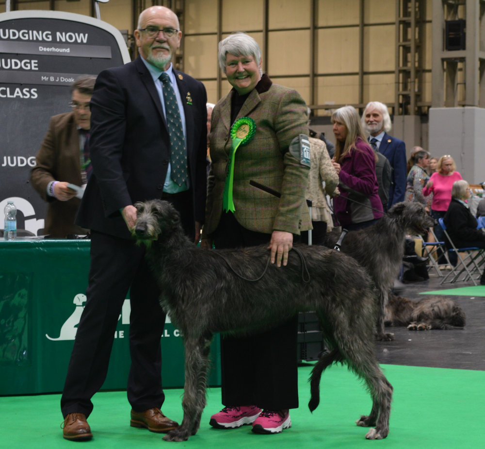 Best Puppu Crufts 2024